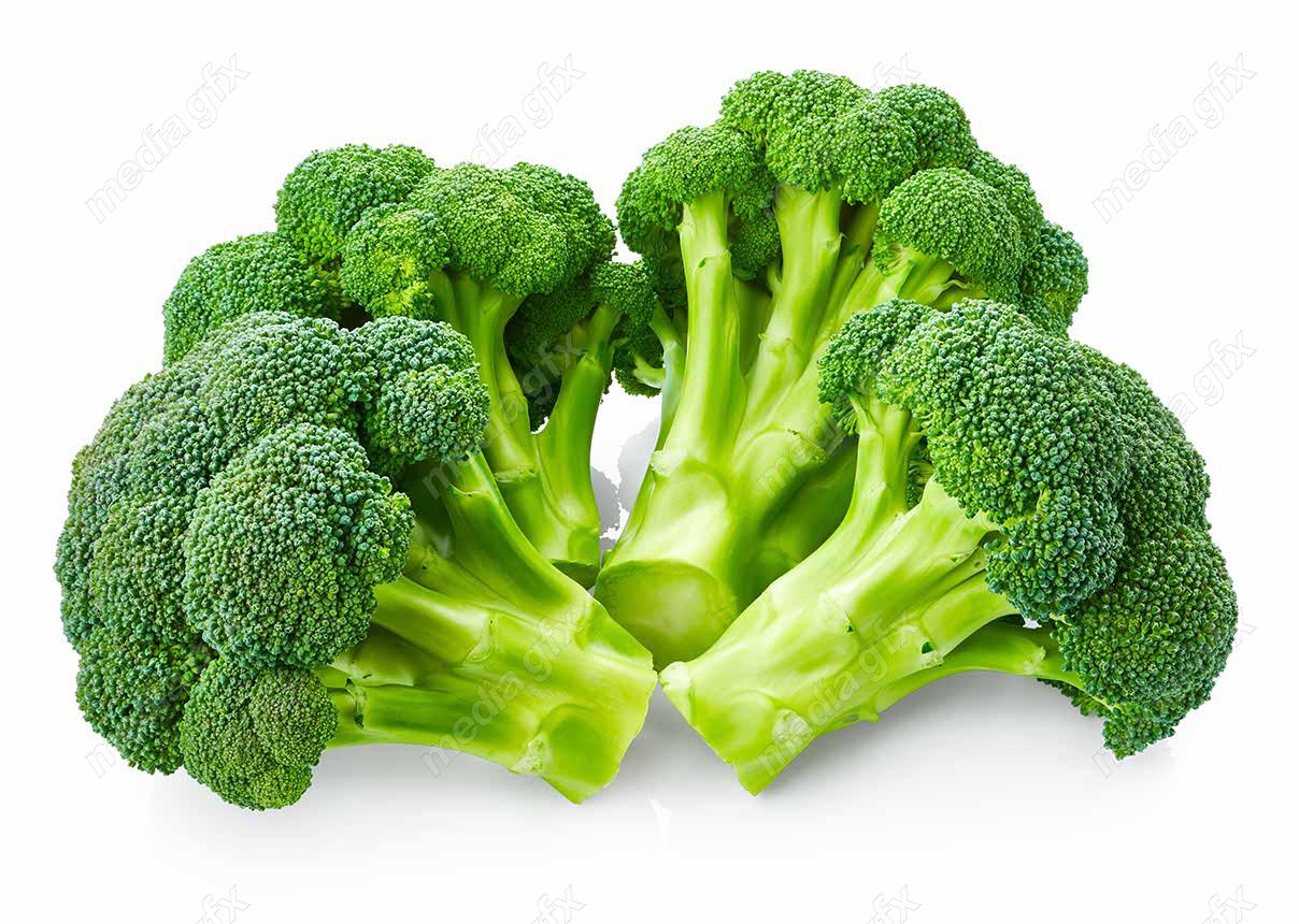 عکس با کیفیت کلم بروکلی پس زمینه سفید MJ005929