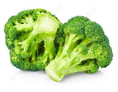 عکس با کیفیت کلم بروکلی پس زمینه سفید MJ005930