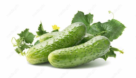 عکس با کیفیت خیار پس زمینه سفید MJ005932