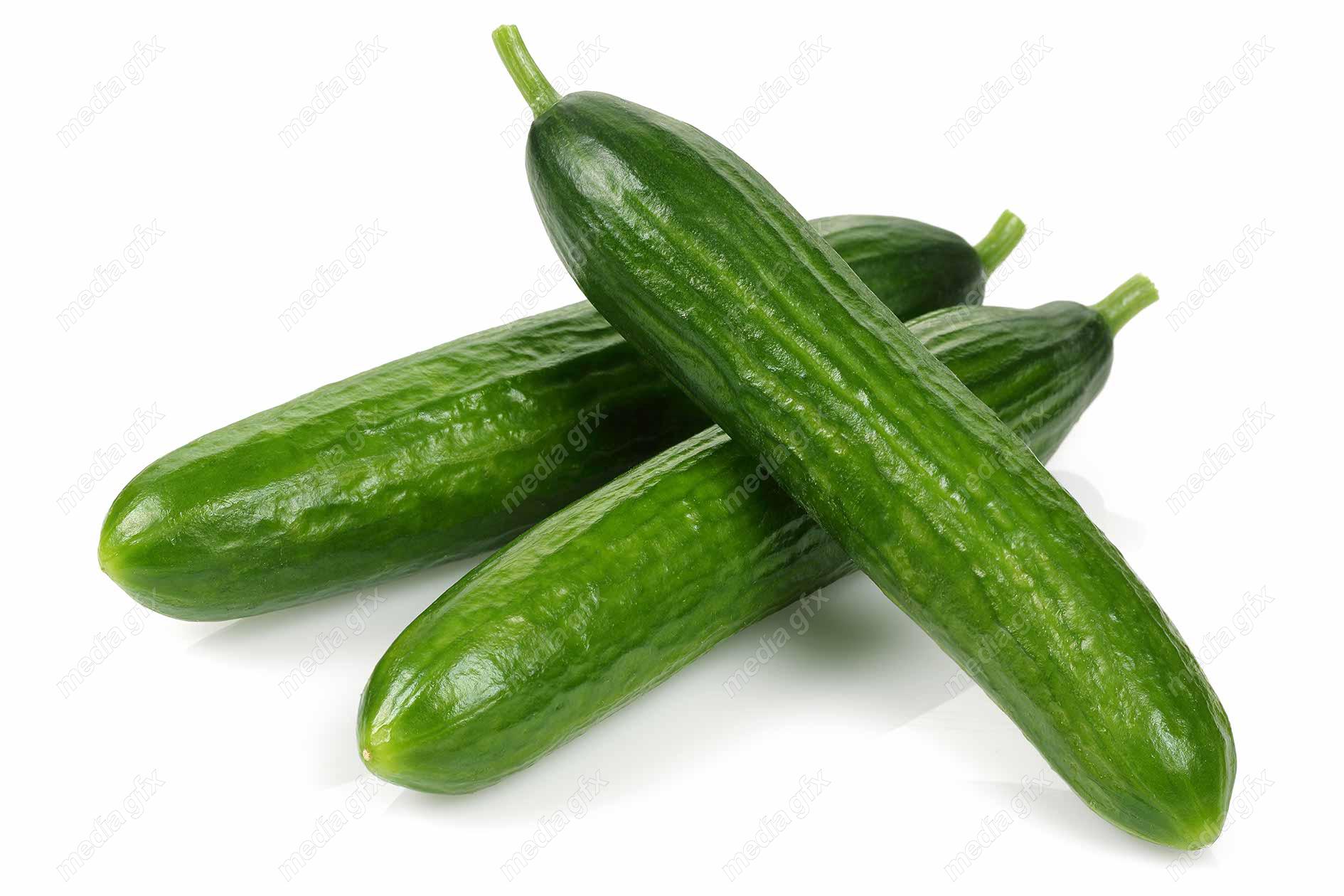عکس با کیفیت خیار پس زمینه سفید MJ005933