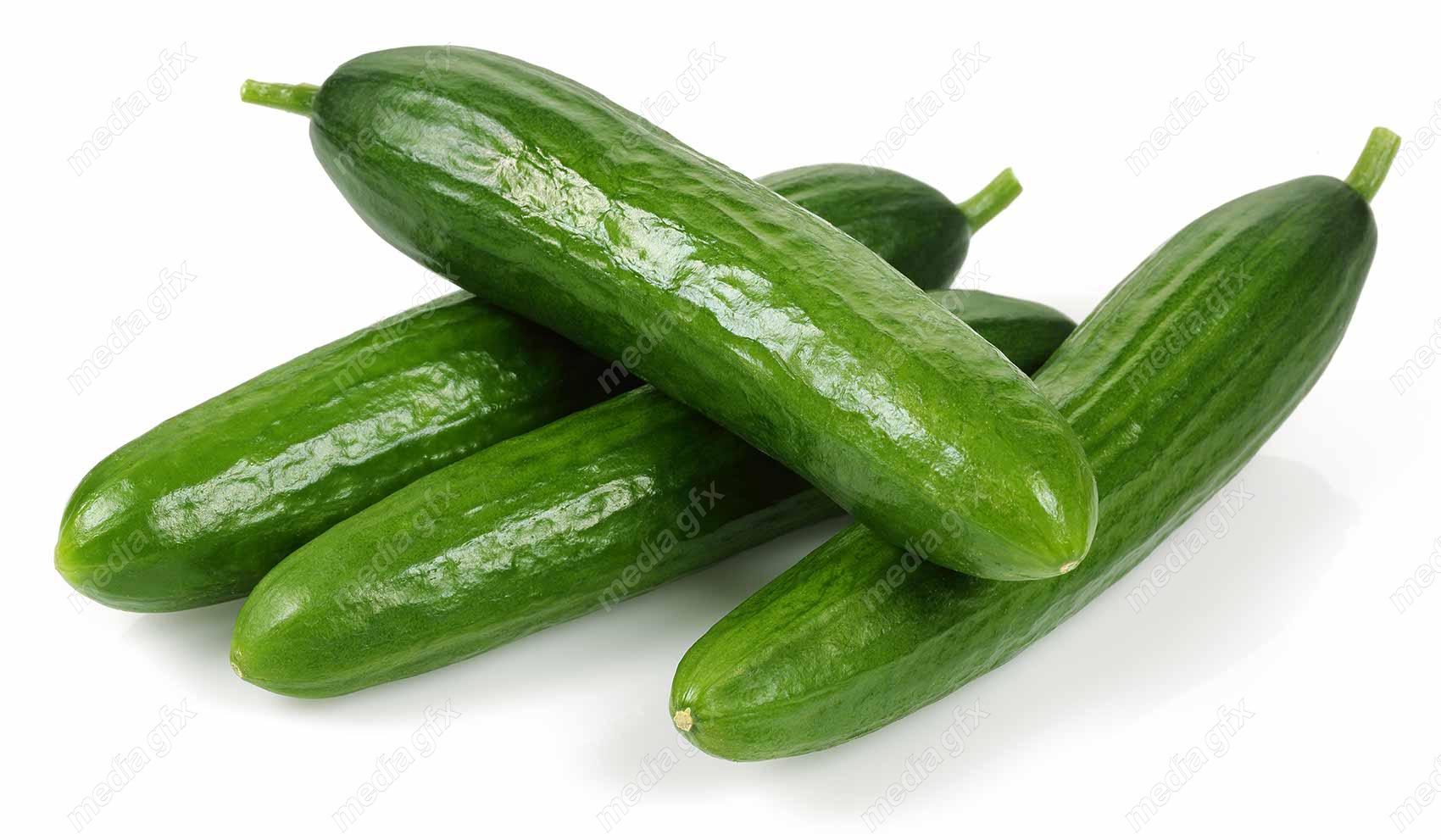 عکس با کیفیت خیار پس زمینه سفید MJ005935