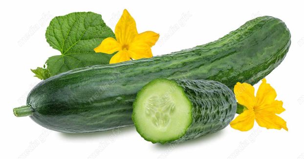 عکس با کیفیت خیار پس زمینه سفید MJ005937