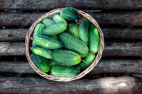 عکس با کیفیت خیار پس زمینه سفید MJ005942