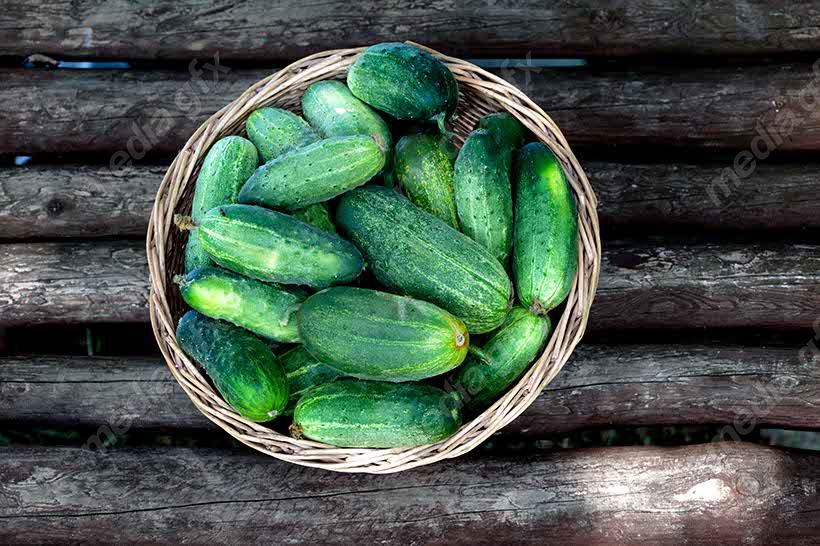 عکس با کیفیت خیار پس زمینه سفید MJ005942