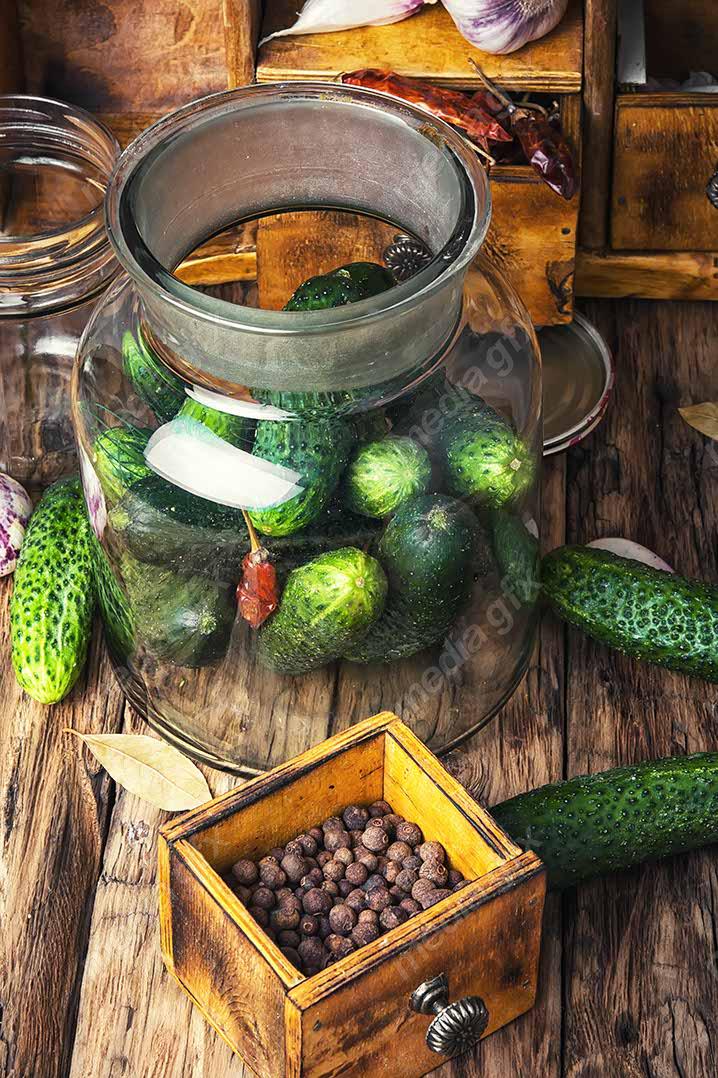 عکس با کیفیت خیار پس زمینه سفید MJ005950