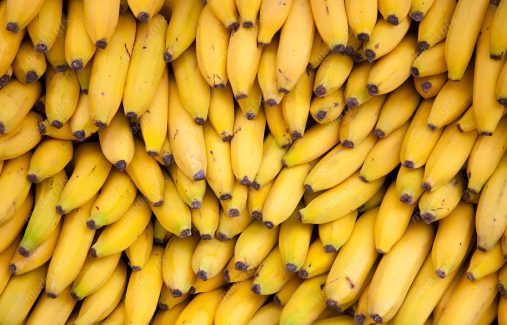 عکس با کیفیت موز  MJ005990