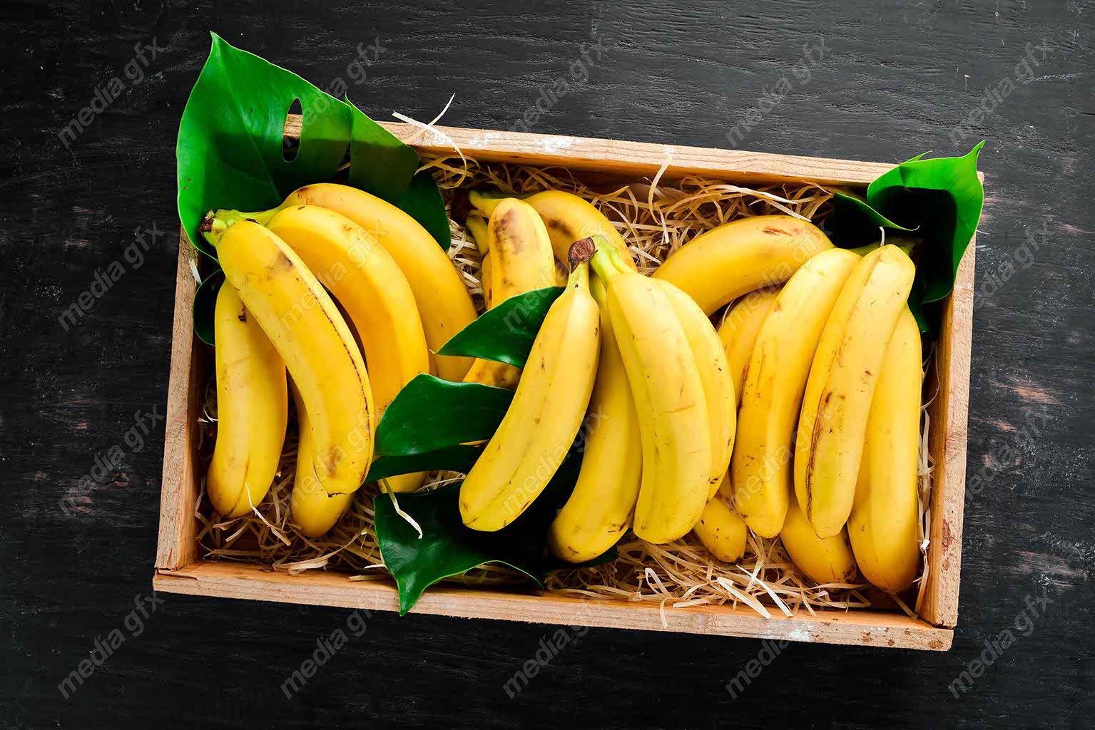 عکس با کیفیت موز  MJ006003