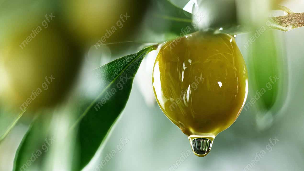 عکس با کیفیت روغن زیتون MJ006114