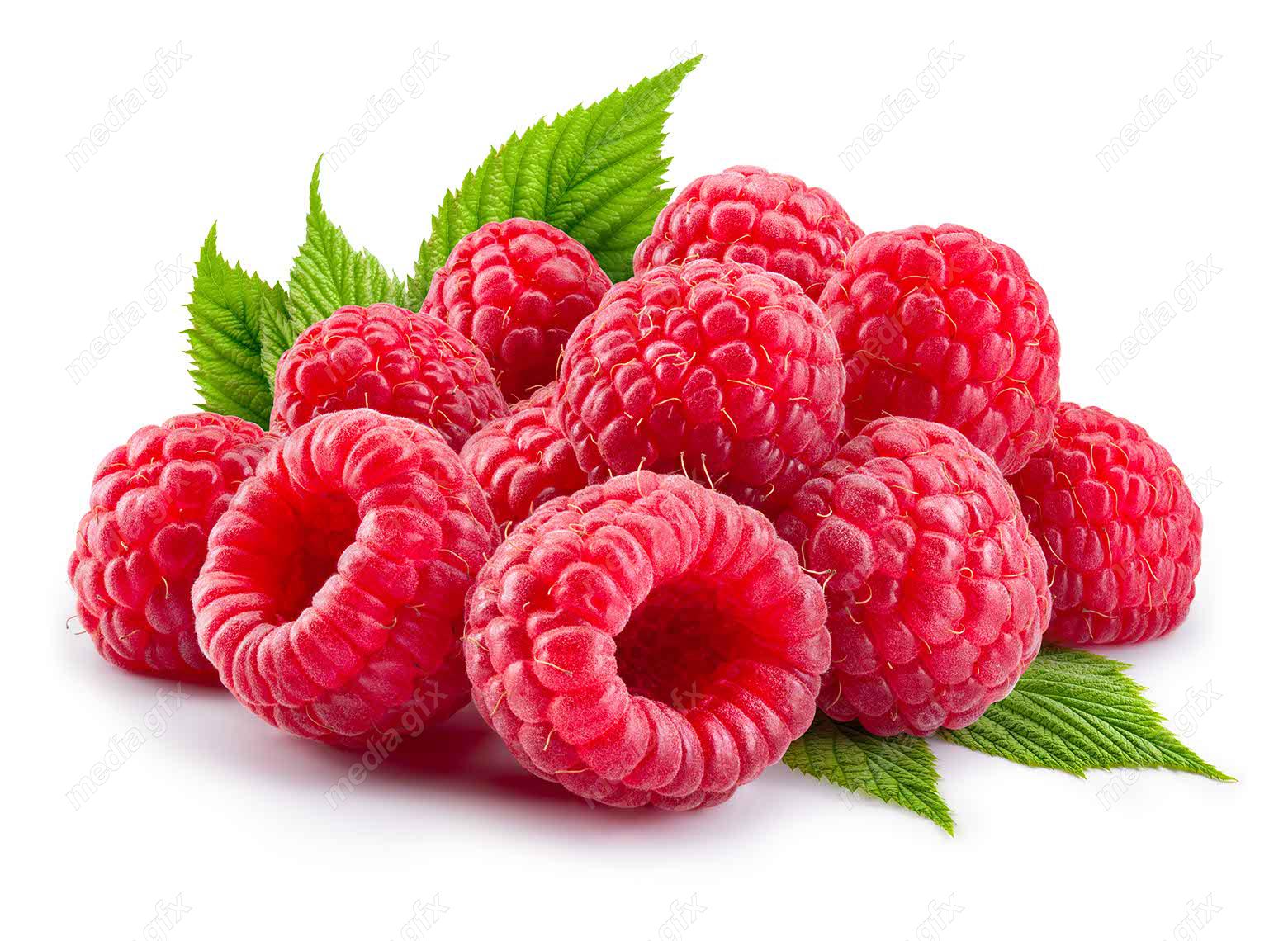 عکس با کیفیت تمشک پس زمینه سفید MJ006238