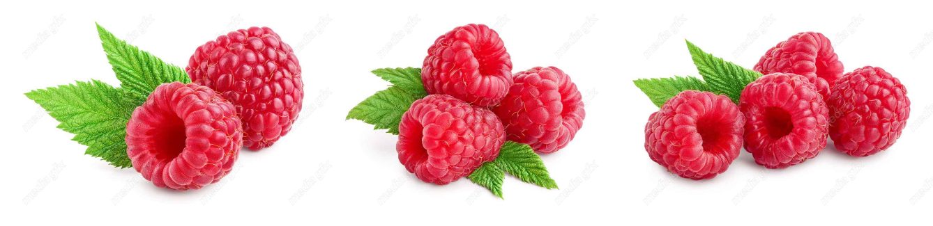 عکس با کیفیت تمشک پس زمینه سفید MJ006247