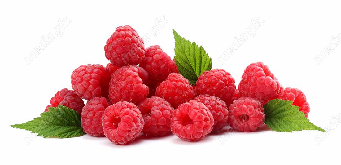 عکس با کیفیت تمشک پس زمینه سفید MJ006264