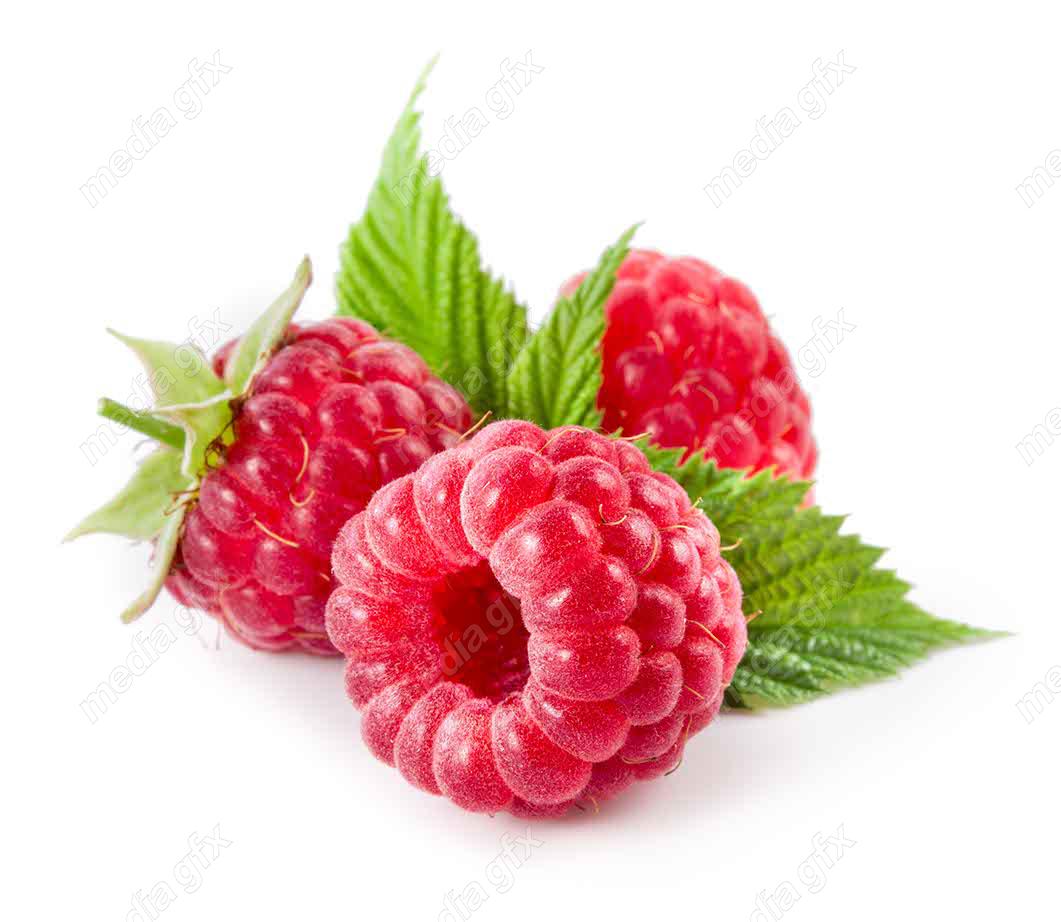 عکس با کیفیت تمشک پس زمینه سفید MJ006275