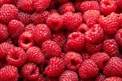 دانلود رایگان عکس با کیفیت تمشک MJ006281