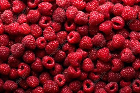 دانلود رایگان عکس با کیفیت تمشک MJ006297