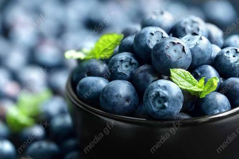 دانلود رایگان عکس با کیفیت بلوبری MJ006304