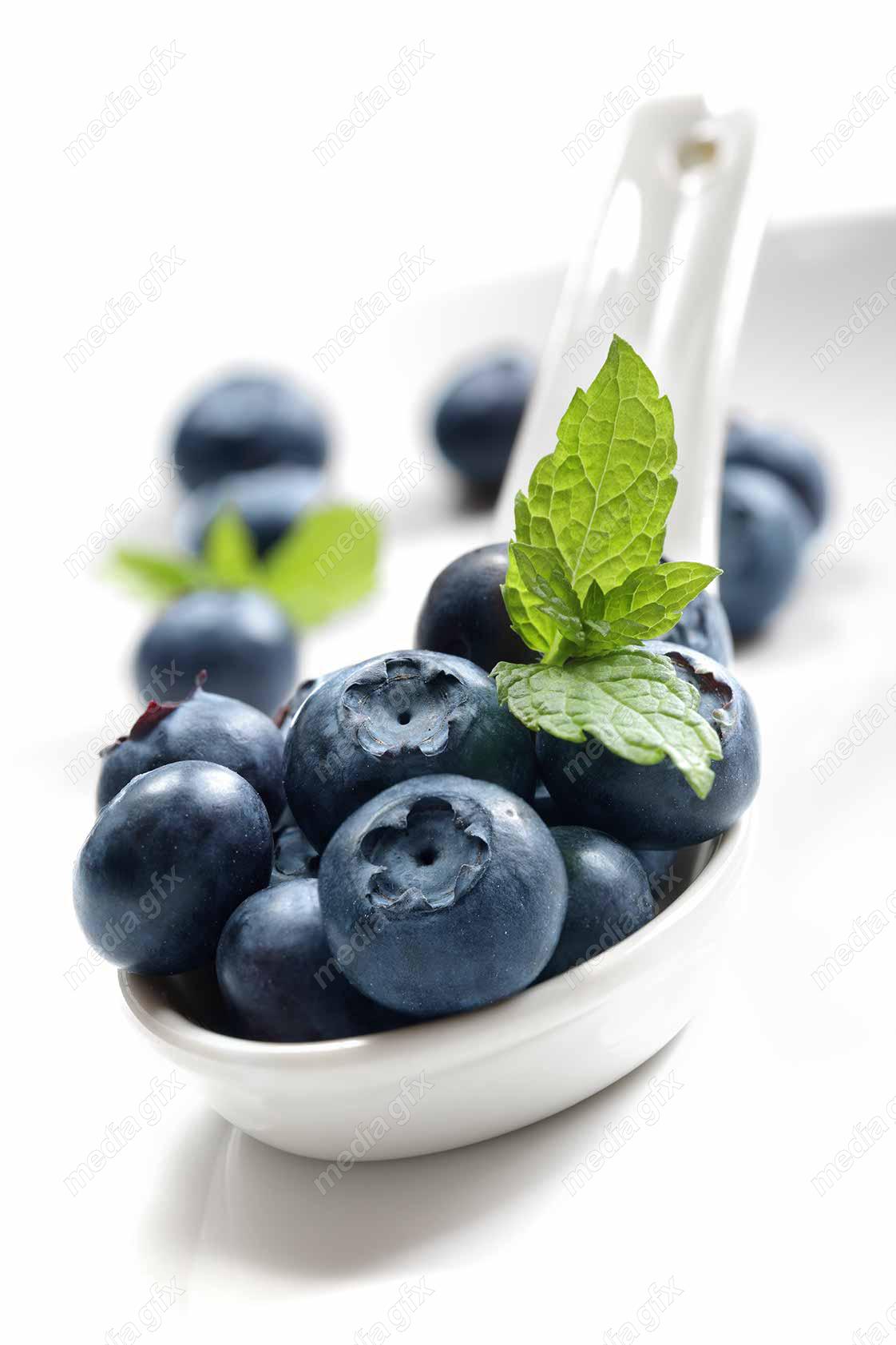 عکس با کیفیت بلوبری پس زمینه سفید MJ006318