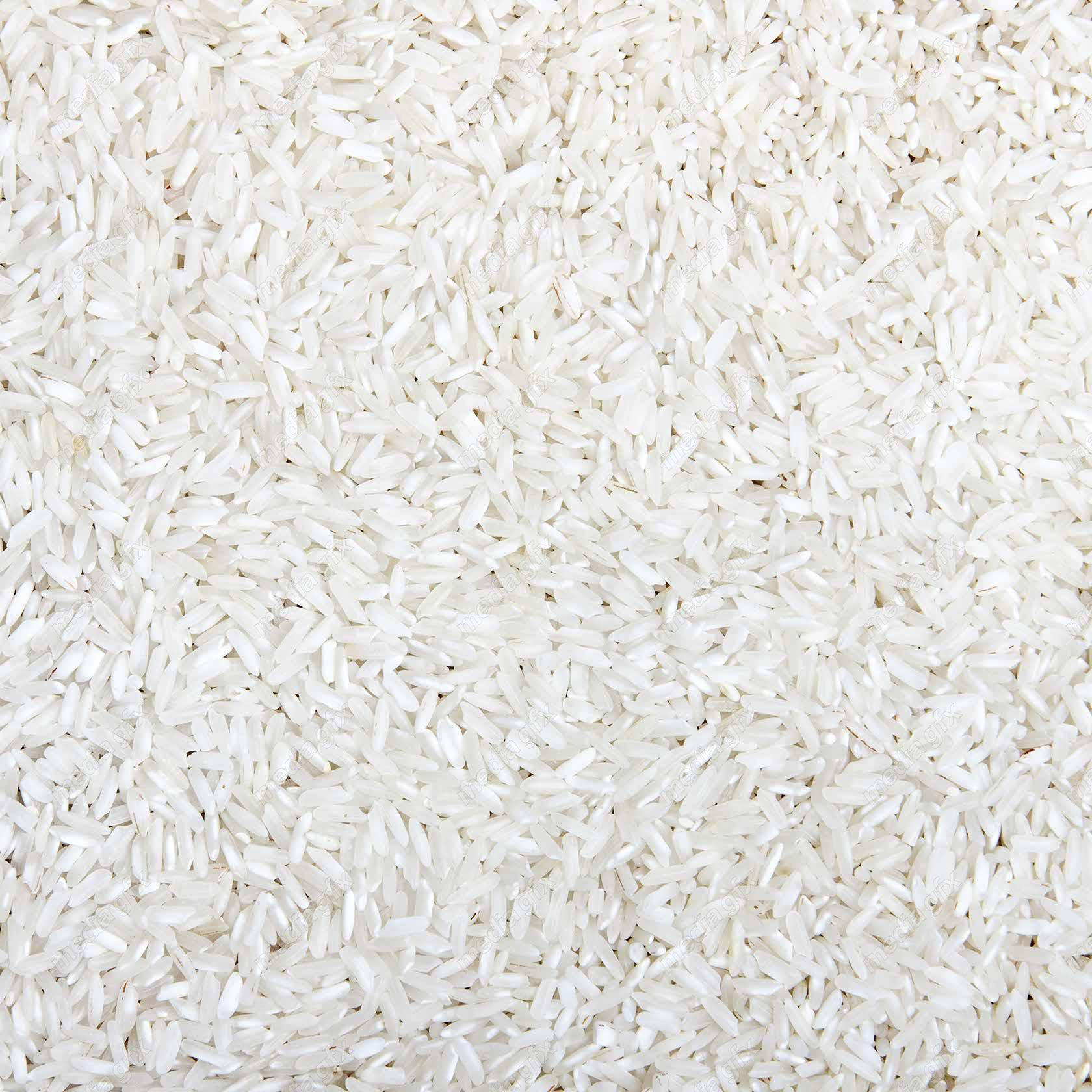 عکس با کیفیت برنج MJ006329
