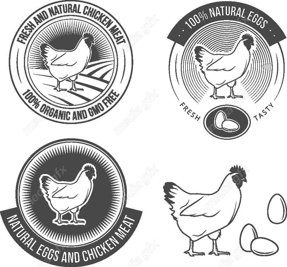 وکتور طرح لوگوی مرغ و خروس، مرغداری و کشتارگاه MV006362