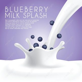 وکتور طرح پاشیدن شیر بلوبری MV006399