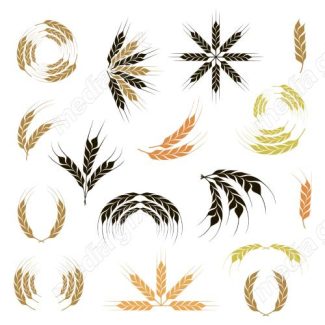 وکتور خوشه گندم طلایی MV006507