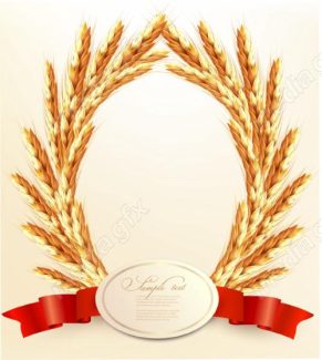 وکتور خوشه گندم طلایی MV006513