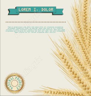 وکتور خوشه گندم طلایی MV006522