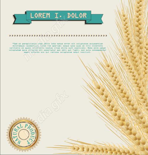 وکتور خوشه گندم طلایی MV006522