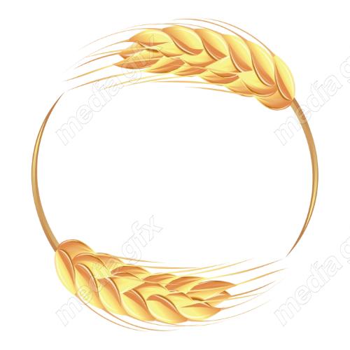 وکتور خوشه گندم طلایی MV006528