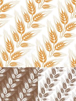 وکتور خوشه گندم طلایی MV006533