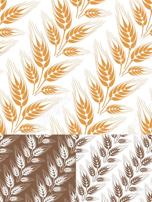 وکتور خوشه گندم طلایی MV006533