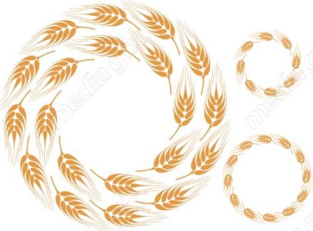 وکتور خوشه گندم طلایی MV006534