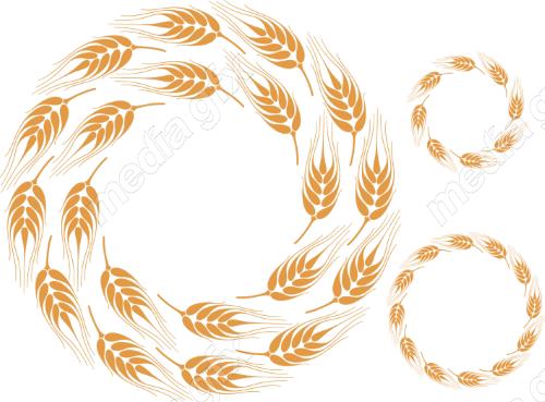 وکتور خوشه گندم طلایی MV006534
