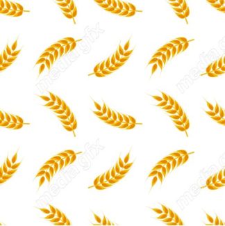 وکتور خوشه گندم طلایی MV006545