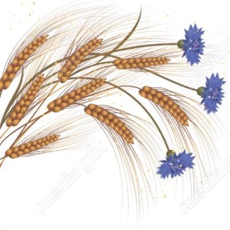 وکتور خوشه گندم طلایی MV006546