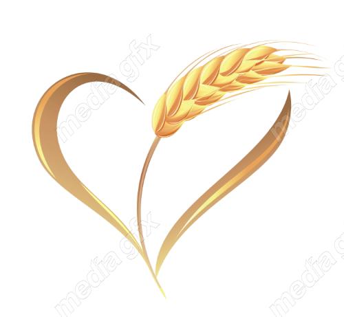 وکتور خوشه گندم طلایی MV006548