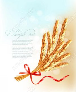 وکتور خوشه گندم طلایی MV006550