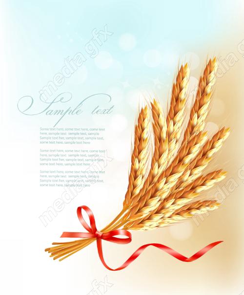 وکتور خوشه گندم طلایی MV006550