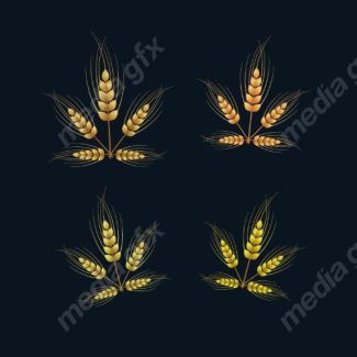 وکتور خوشه گندم طلایی MV006553