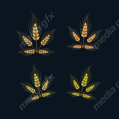وکتور خوشه گندم طلایی MV006553