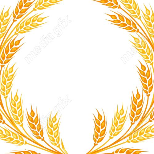 وکتور خوشه گندم طلایی MV006558