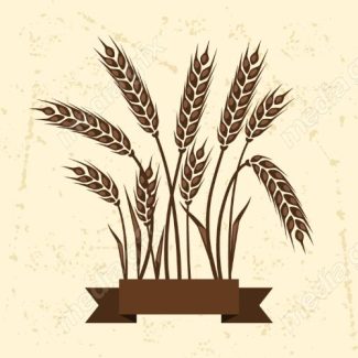 وکتور خوشه گندم طلایی MV006560