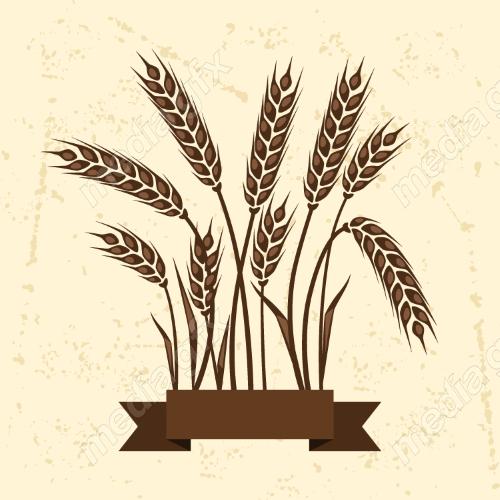 وکتور خوشه گندم طلایی MV006560