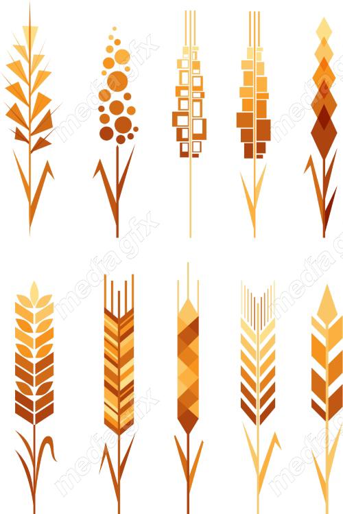 وکتور خوشه گندم طلایی MV006564