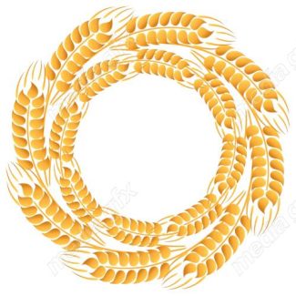 وکتور خوشه گندم طلایی MV006569