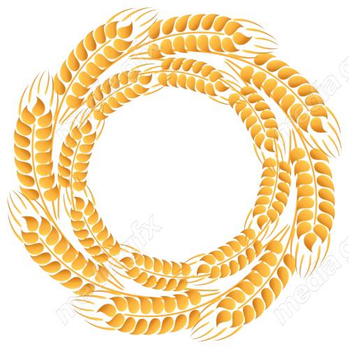 وکتور خوشه گندم طلایی MV006569