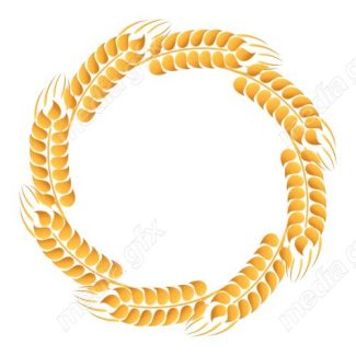 وکتور خوشه گندم طلایی MV006571