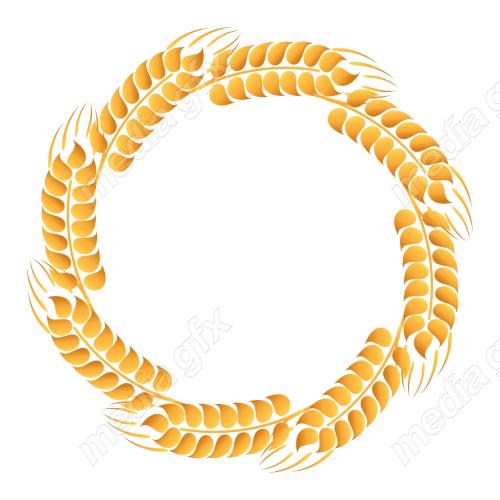 وکتور خوشه گندم طلایی MV006571