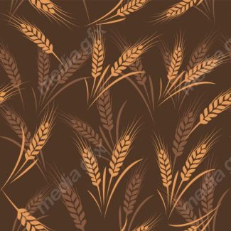 وکتور خوشه گندم طلایی MV006573