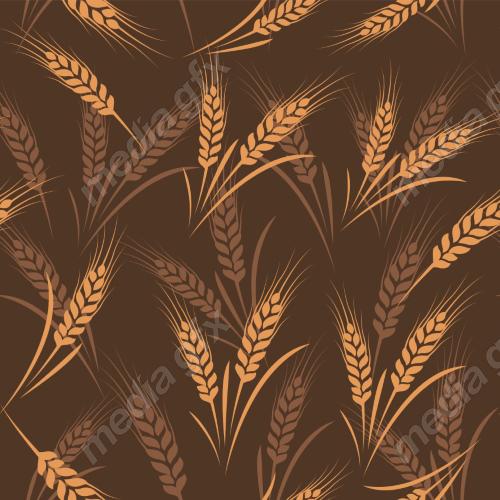 وکتور خوشه گندم طلایی MV006573