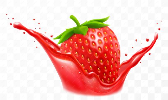 وکتور توت فرنگی  MV006797